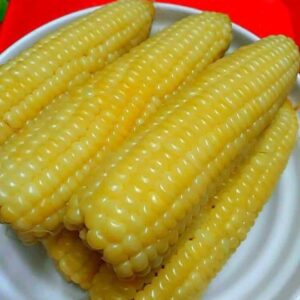 Boiled Corn